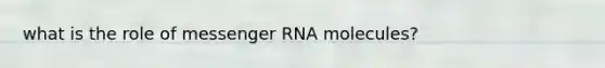 what is the role of messenger RNA molecules?