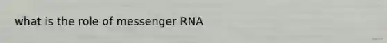 what is the role of messenger RNA