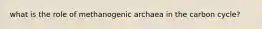 what is the role of methanogenic archaea in the carbon cycle?