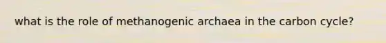 what is the role of methanogenic archaea in the carbon cycle?