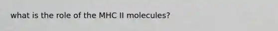 what is the role of the MHC II molecules?