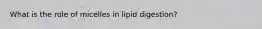 What is the role of micelles in lipid digestion?