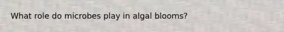 What role do microbes play in algal blooms?