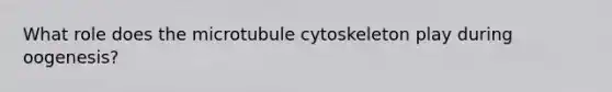 What role does the microtubule cytoskeleton play during oogenesis?