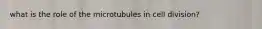 what is the role of the microtubules in cell division?
