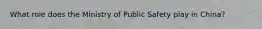 What role does the Ministry of Public Safety play in China?
