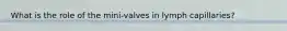 What is the role of the mini-valves in lymph capillaries?