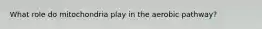What role do mitochondria play in the aerobic pathway?