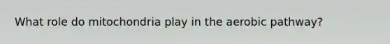 What role do mitochondria play in the aerobic pathway?