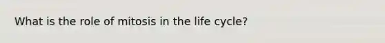 What is the role of mitosis in the life cycle?