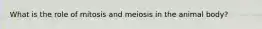 What is the role of mitosis and meiosis in the animal body?