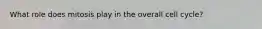 What role does mitosis play in the overall cell cycle?