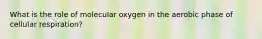 What is the role of molecular oxygen in the aerobic phase of cellular respiration?