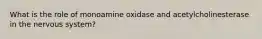 What is the role of monoamine oxidase and acetylcholinesterase in the nervous system?