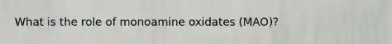 What is the role of monoamine oxidates (MAO)?