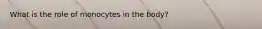 What is the role of monocytes in the body?