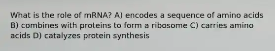 What is the role of mRNA? A) encodes a sequence of amino acids B) combines with proteins to form a ribosome C) carries amino acids D) catalyzes protein synthesis