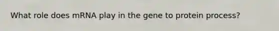 What role does mRNA play in the gene to protein process?