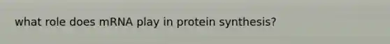 what role does mRNA play in protein synthesis?