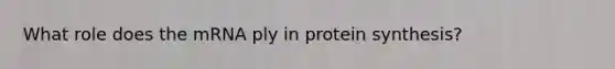 What role does the mRNA ply in <a href='https://www.questionai.com/knowledge/kVyphSdCnD-protein-synthesis' class='anchor-knowledge'>protein synthesis</a>?