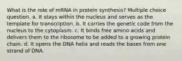 What is the role of mRNA in protein synthesis? Multiple choice question. a. It stays within the nucleus and serves as the template for transcription. b. It carries the genetic code from the nucleus to the cytoplasm. c. It binds free amino acids and delivers them to the ribosome to be added to a growing protein chain. d. It opens the DNA helix and reads the bases from one strand of DNA.