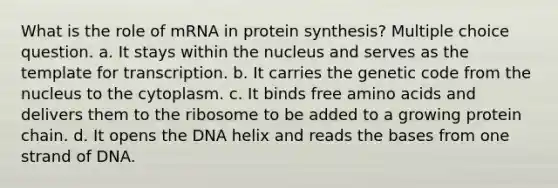 What is the role of mRNA in protein synthesis? Multiple choice question. a. It stays within the nucleus and serves as the template for transcription. b. It carries the genetic code from the nucleus to the cytoplasm. c. It binds free amino acids and delivers them to the ribosome to be added to a growing protein chain. d. It opens the DNA helix and reads the bases from one strand of DNA.