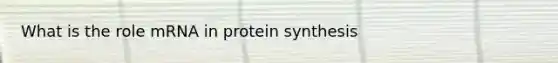 What is the role mRNA in protein synthesis