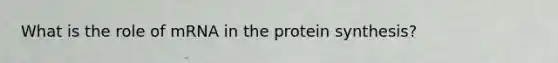 What is the role of mRNA in the protein synthesis?