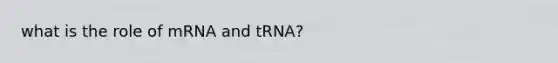 what is the role of mRNA and tRNA?