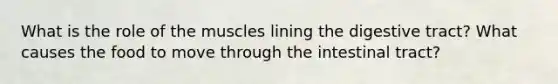 What is the role of the muscles lining the digestive tract? What causes the food to move through the intestinal tract?