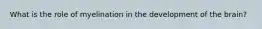 What is the role of myelination in the development of the brain?