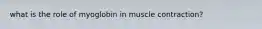 what is the role of myoglobin in muscle contraction?