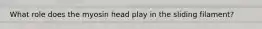 What role does the myosin head play in the sliding filament?