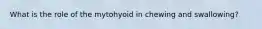 What is the role of the mytohyoid in chewing and swallowing?