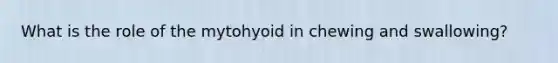 What is the role of the mytohyoid in chewing and swallowing?