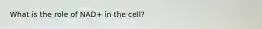 What is the role of NAD+ in the cell?