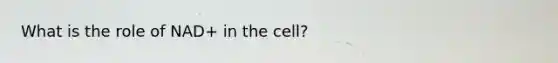 What is the role of NAD+ in the cell?