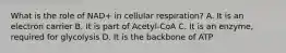 What is the role of NAD+ in cellular respiration? A. It is an electron carrier B. It is part of Acetyl-CoA C. It is an enzyme, required for glycolysis D. It is the backbone of ATP