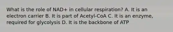 What is the role of NAD+ in cellular respiration? A. It is an electron carrier B. It is part of Acetyl-CoA C. It is an enzyme, required for glycolysis D. It is the backbone of ATP