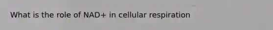 What is the role of NAD+ in cellular respiration