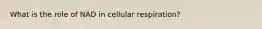 What is the role of NAD in cellular respiration?