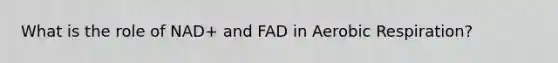 What is the role of NAD+ and FAD in Aerobic Respiration?