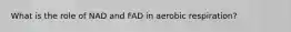 What is the role of NAD and FAD in aerobic respiration?