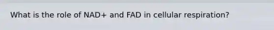 What is the role of NAD+ and FAD in cellular respiration?