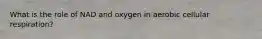 What is the role of NAD and oxygen in aerobic cellular respiration?