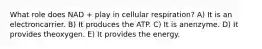 What role does NAD + play in cellular respiration? A) It is an electroncarrier. B) It produces the ATP. C) It is anenzyme. D) It provides theoxygen. E) It provides the energy.