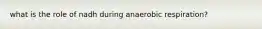 what is the role of nadh during anaerobic respiration?