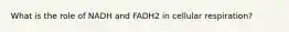 What is the role of NADH and FADH2 in cellular respiration?