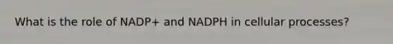 What is the role of NADP+ and NADPH in cellular processes?