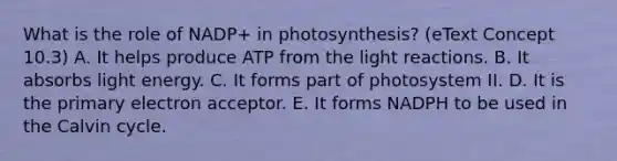 What is the role of NADP+ in photosynthesis? (eText Concept 10.3) A. It helps produce ATP from the light reactions. B. It absorbs light energy. C. It forms part of photosystem II. D. It is the primary electron acceptor. E. It forms NADPH to be used in the Calvin cycle.